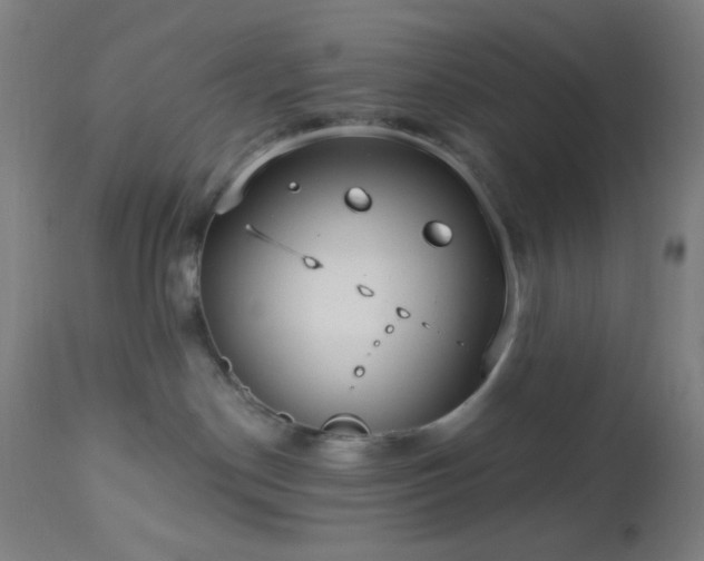 X0000112960190200908271126