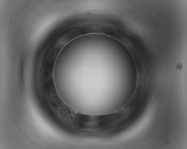 X0000112960191200908271126