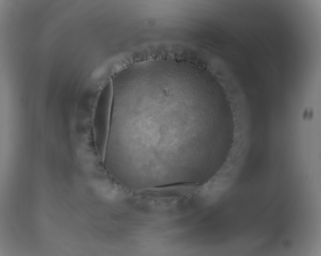 X0000112960192200908271126