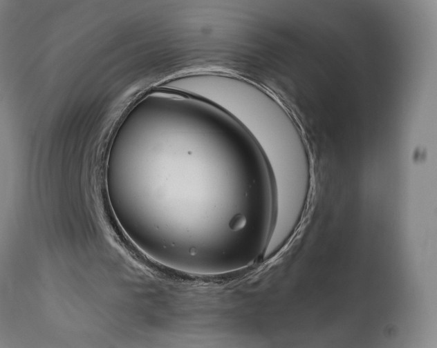 X0000112960193200908271125