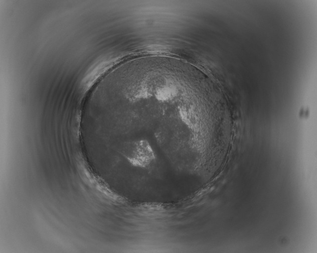 X0000112960194200908271125