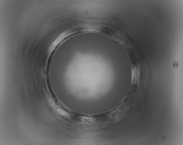 X0000112960195200908271125