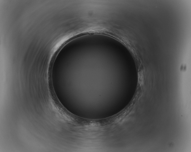 X0000112960196200908271125