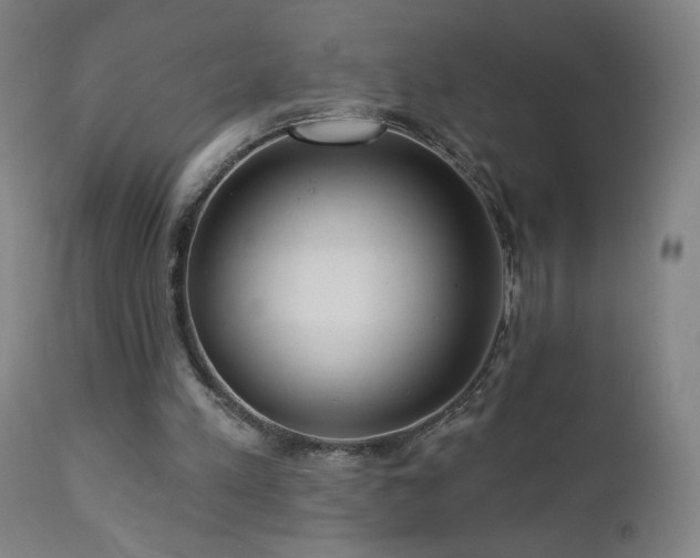 X0000112960197200908271125