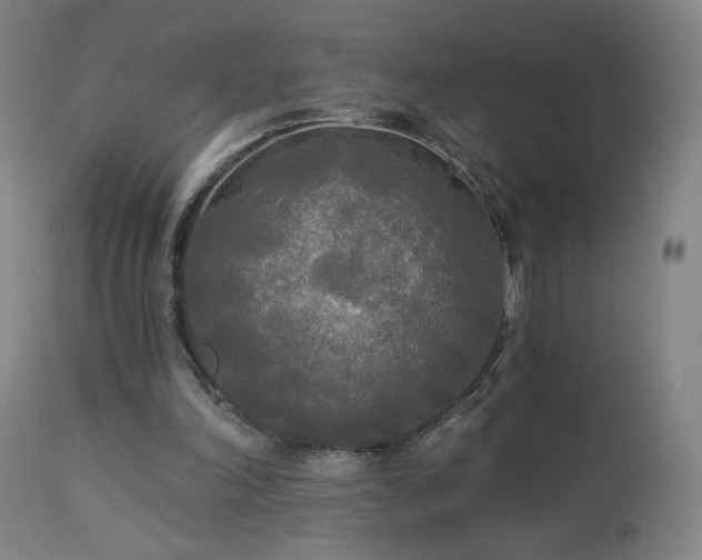 X0000112960198200908271125