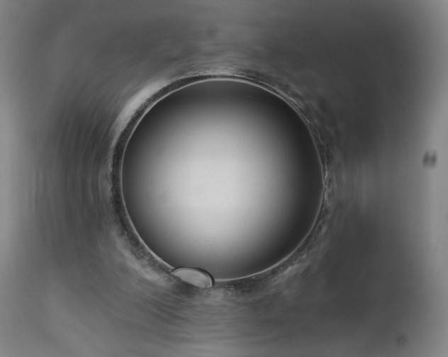 X0000112960200200908271125