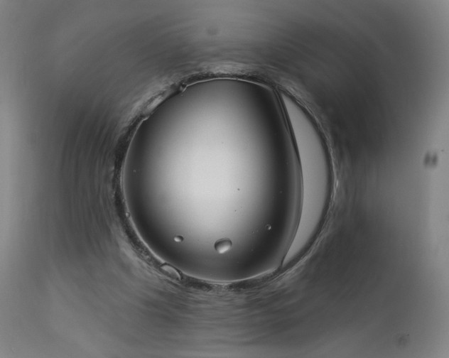 X0000112960201200908271125