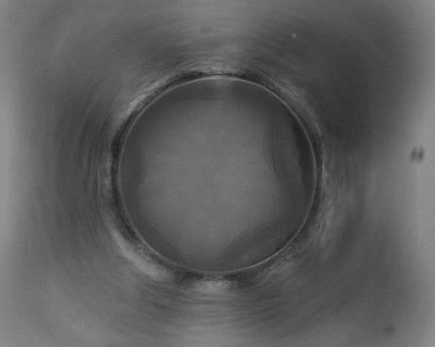 X0000112960202200908271125