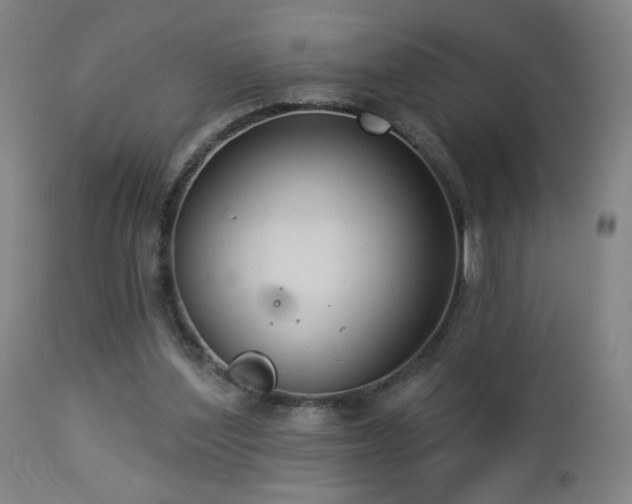 X0000112960204200908271125