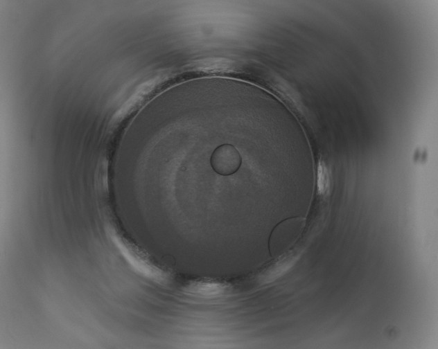 X0000112960205200908271125