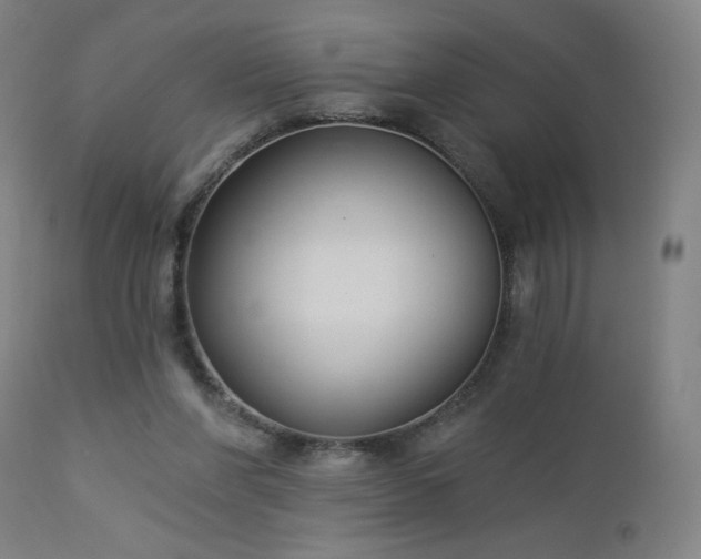 X0000112960206200908271125