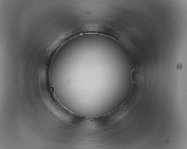 X0000112960207200908271125