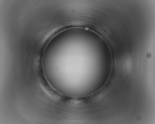 X0000112960208200908271125