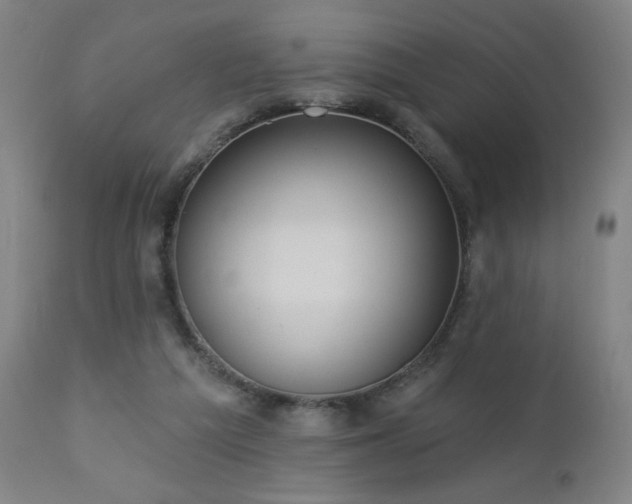 X0000112960209200908271125