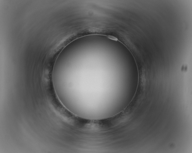 X0000112960211200908271125