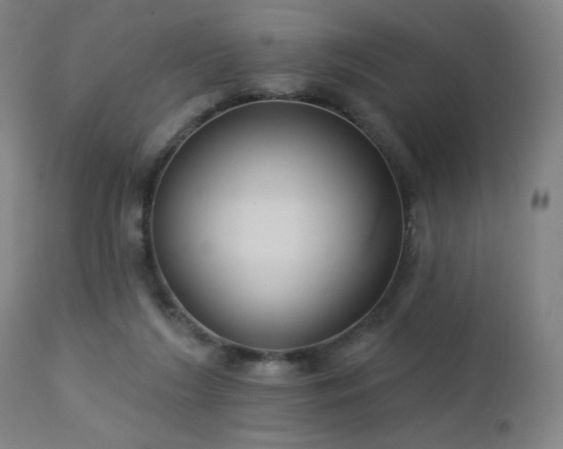 X0000112960212200908271125