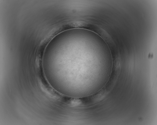 X0000112960214200908271125