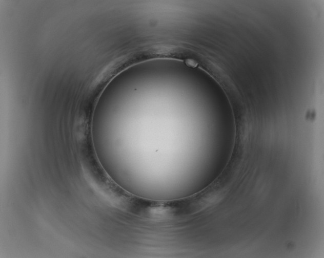 X0000112960216200908271125