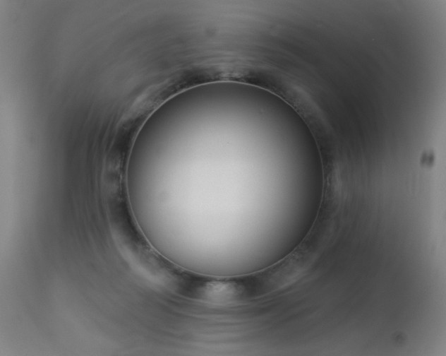 X0000112960218200908271125