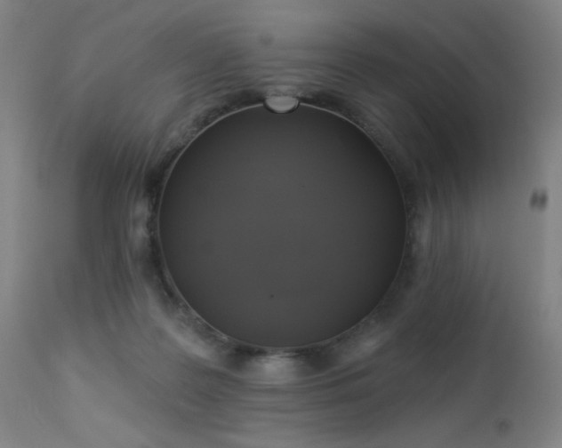 X0000112960219200908271125