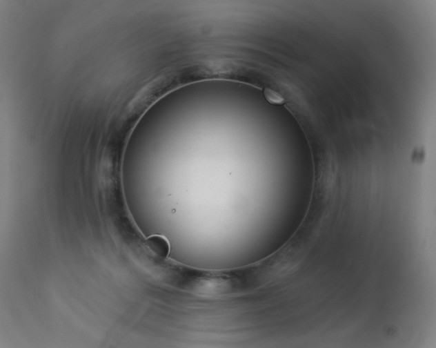 X0000112960220200908271125