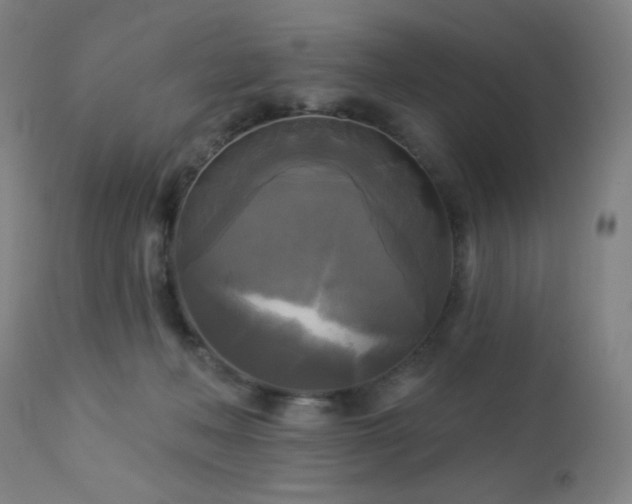 X0000112960222200908271125