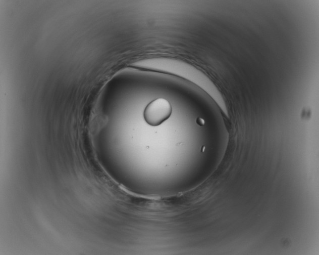 X0000112960223200908271125