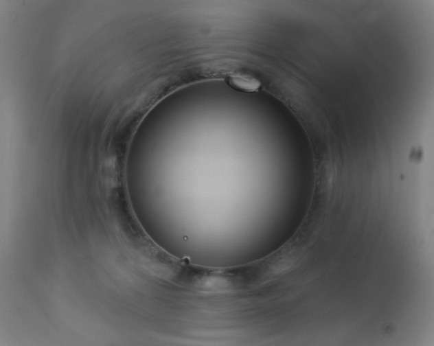 X0000112960224200908271125