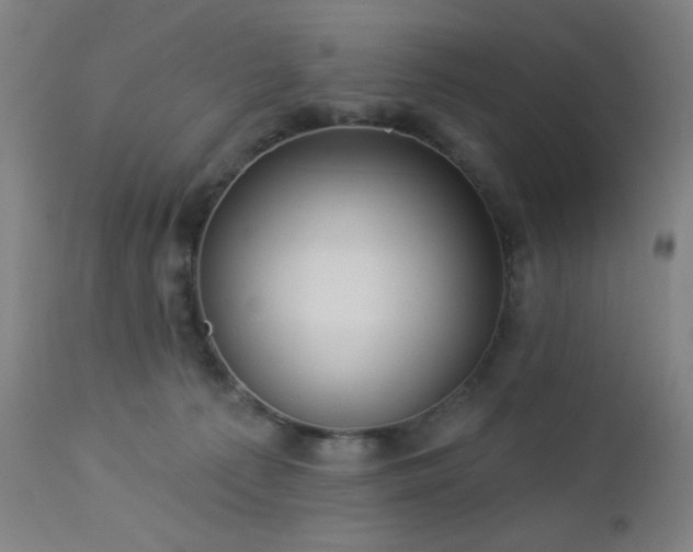 X0000112960225200908271125