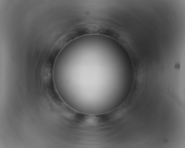 X0000112960226200908271125