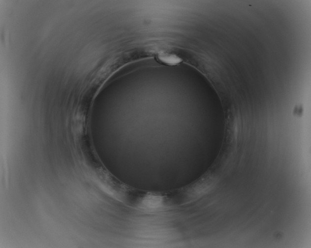 X0000112960227200908271125