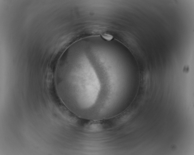 X0000112960228200908271125