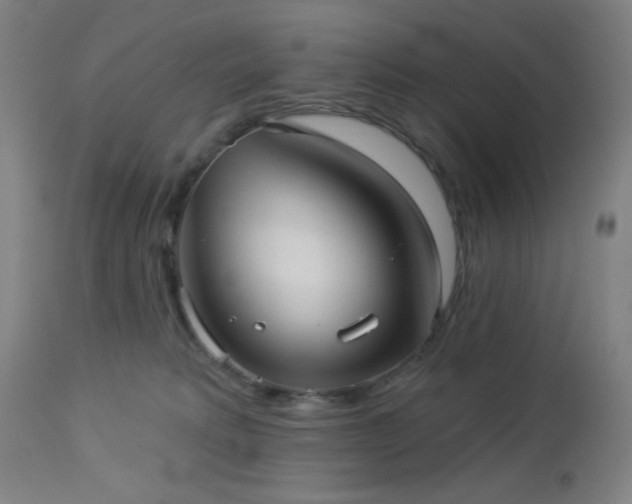 X0000112960229200908271125