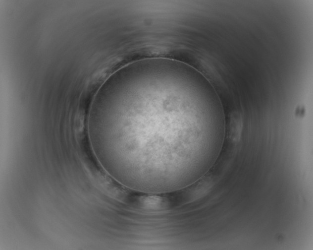 X0000112960230200908271125