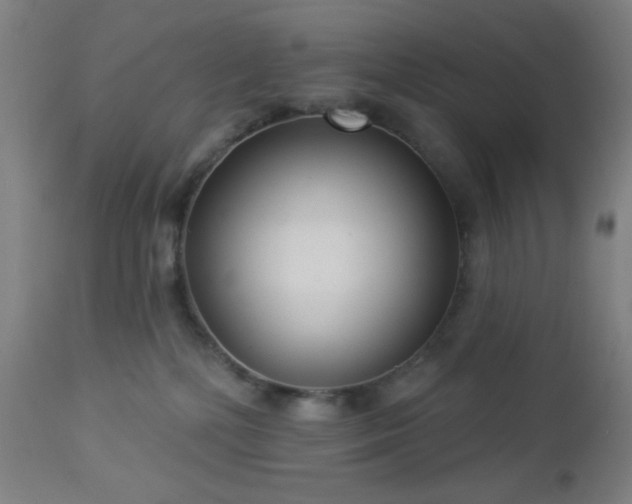 X0000112960232200908271125