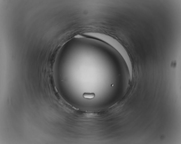 X0000112960233200908271125