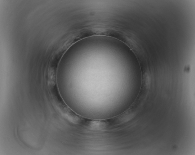 X0000112960234200908271125