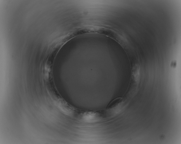 X0000112960235200908271125