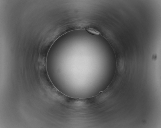 X0000112960236200908271125