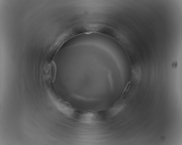 X0000112960237200908271125