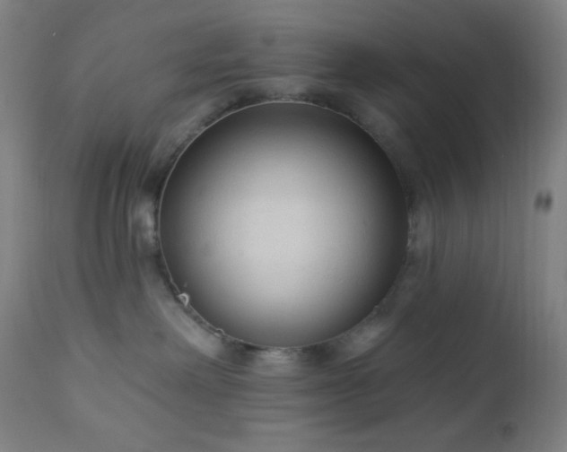 X0000112960238200908271125