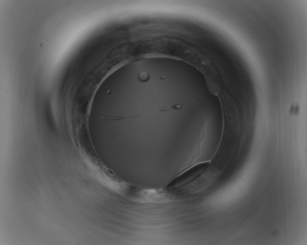 X0000112960239200908271125