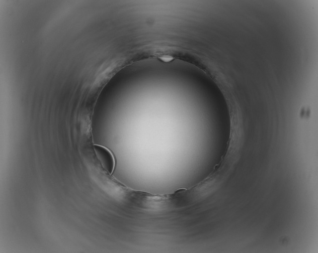 X0000112960240200908271125