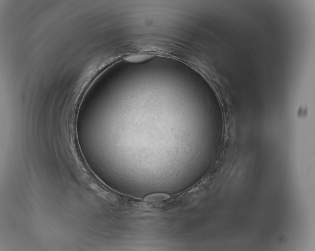 X0000112960241200908271124