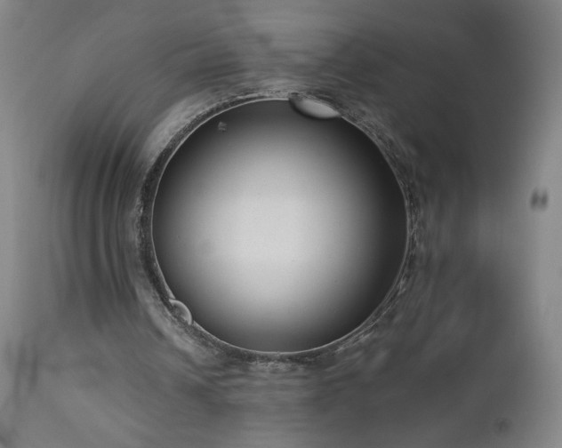 X0000112960242200908271124