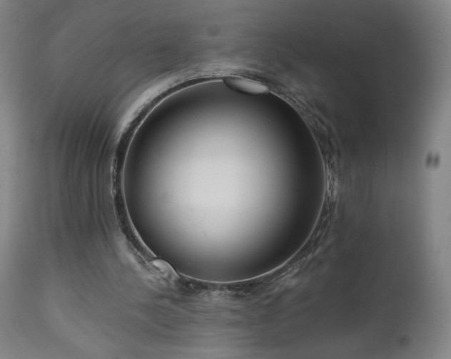 X0000112960244200908271124