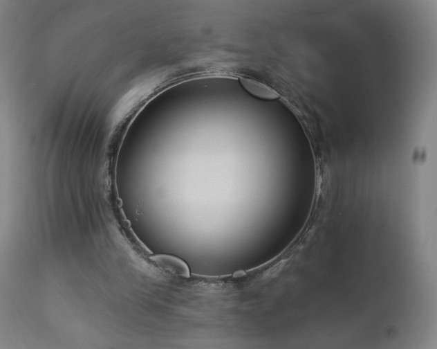 X0000112960245200908271124