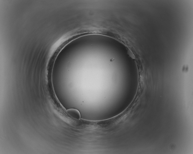 X0000112960246200908271124