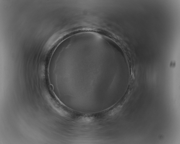 X0000112960247200908271124