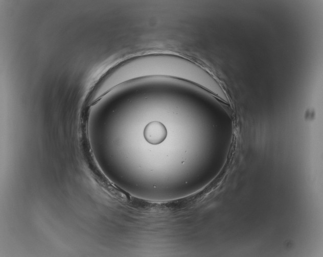 X0000112960248200908271124